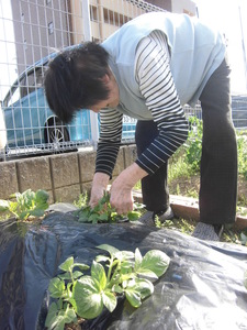 ティプランデイサービスセンター吉田方 豊橋市 の詳細情報 採用 求人情報 デイサービスナビ