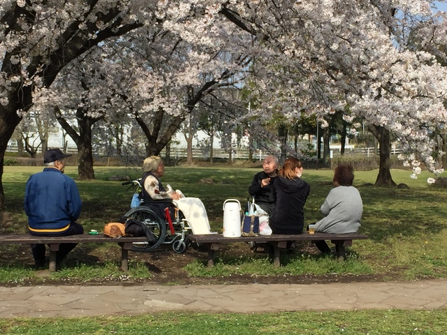 デイサービスセンター四つ葉のクローバー高崎井野 高崎市 の詳細情報 採用 求人情報 デイサービスナビ